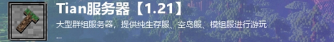 Tian服务器